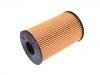 機油濾清器 Oil Filter:1017110XED30